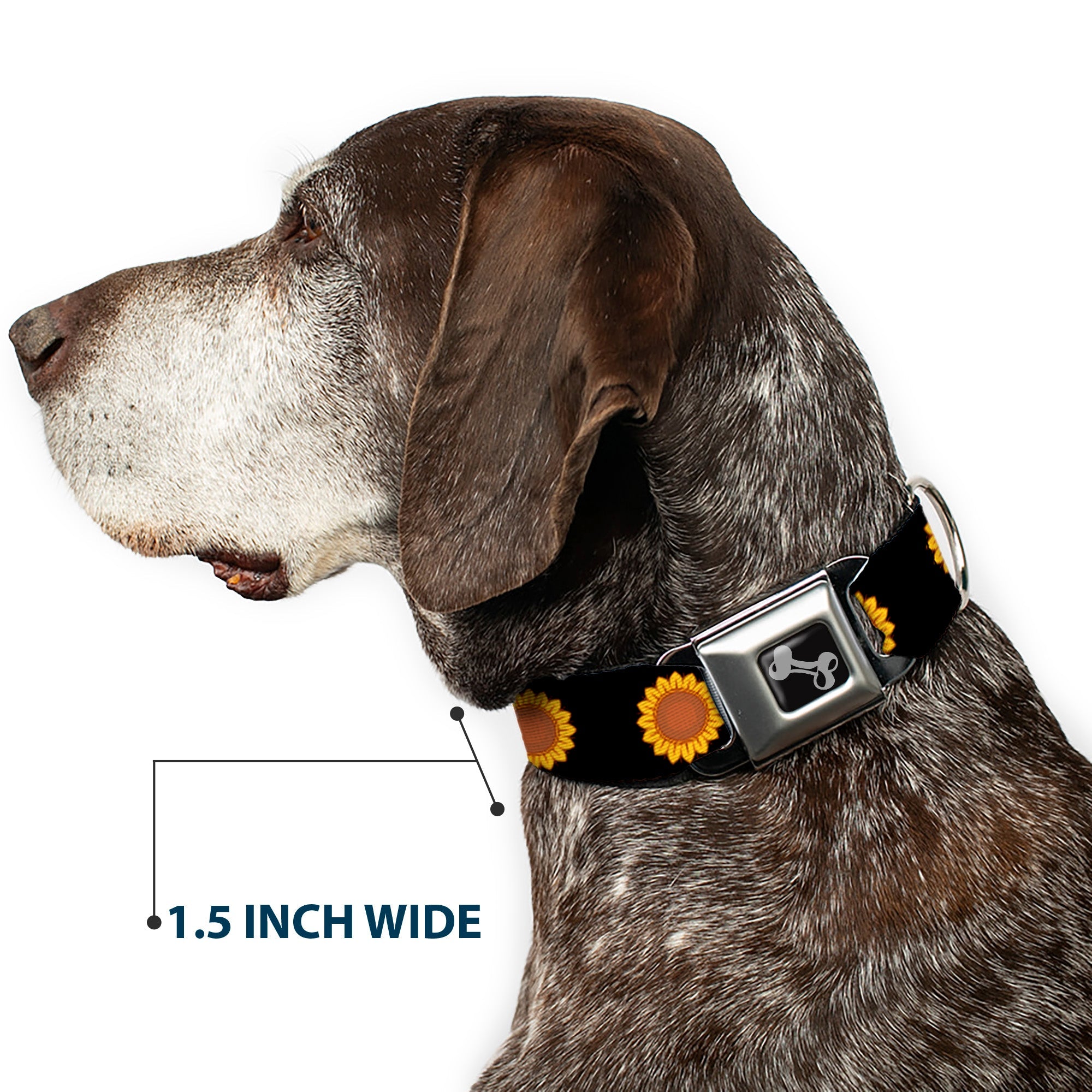Dog Bone Black/Silver Seatbelt Buckle Collar - Sunflower Face Repeat Black
