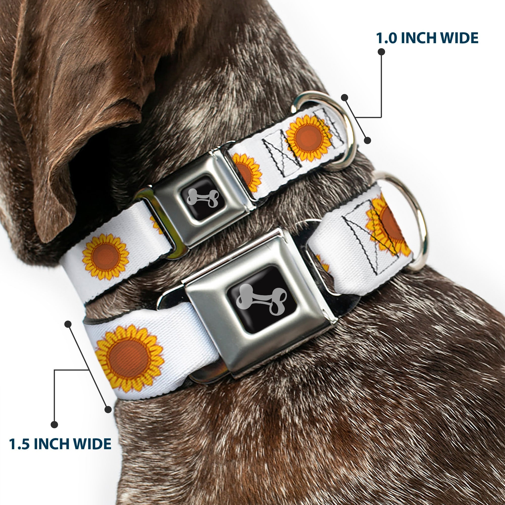 Dog Bone Black/Silver Seatbelt Buckle Collar - Sunflower Face Repeat White