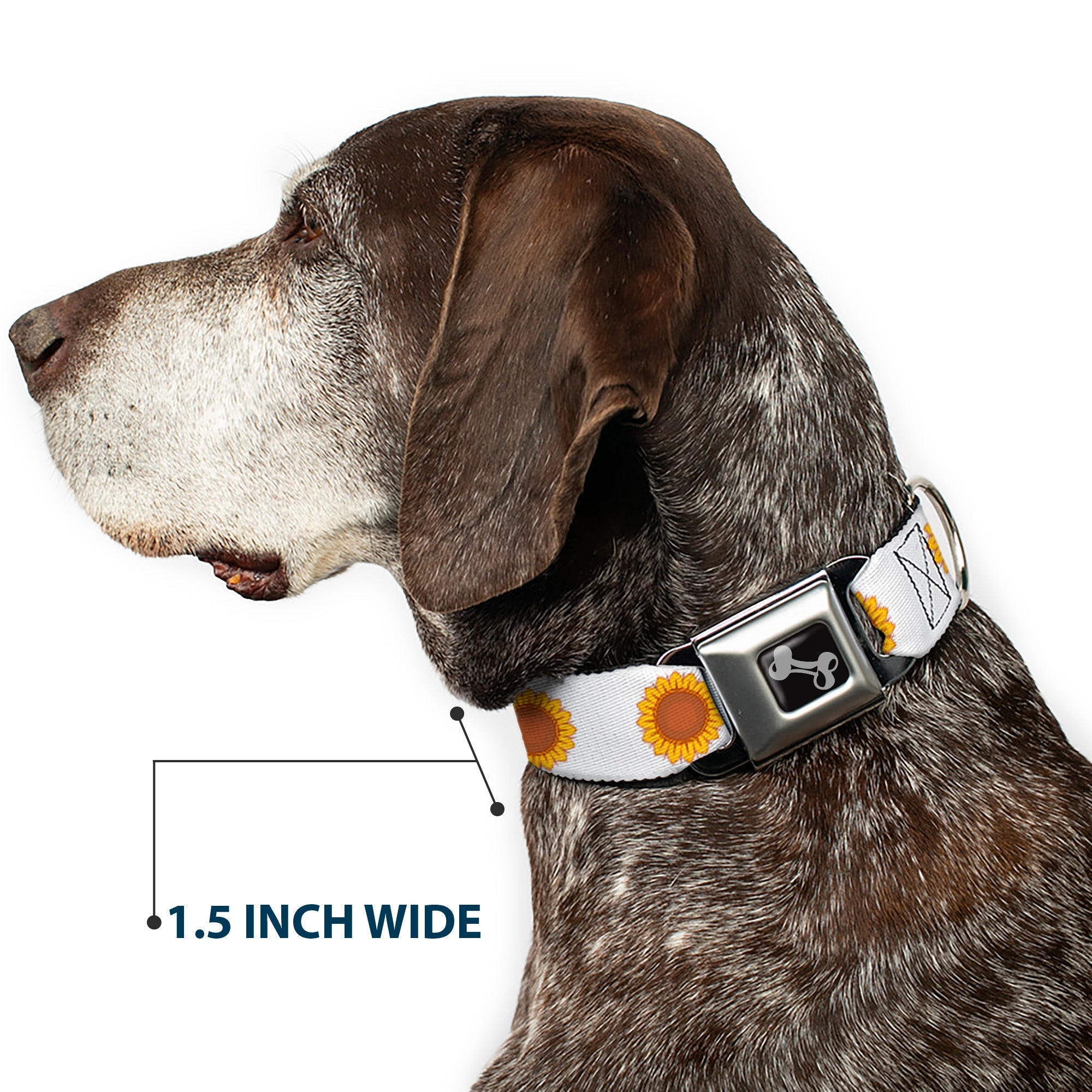 Dog Bone Black/Silver Seatbelt Buckle Collar - Sunflower Face Repeat White