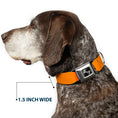 Load image into Gallery viewer, Dog Bone Black/Silver Seatbelt Buckle Collar - Summer Essentials Color Block 2
