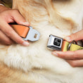 Load image into Gallery viewer, Dog Bone Black/Silver Seatbelt Buckle Collar - Summer Essentials Color Block 3
