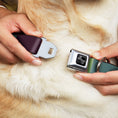 Load image into Gallery viewer, Dog Bone Black/Silver Seatbelt Buckle Collar - Summer Essentials Color Block 5
