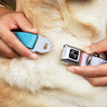 Load image into Gallery viewer, Dog Bone Black/Silver Seatbelt Buckle Collar - Summer Essentials Color Block 6
