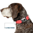 Load image into Gallery viewer, Dog Bone Black/Silver Seatbelt Buckle Collar - Summer Essentials Color Block 8
