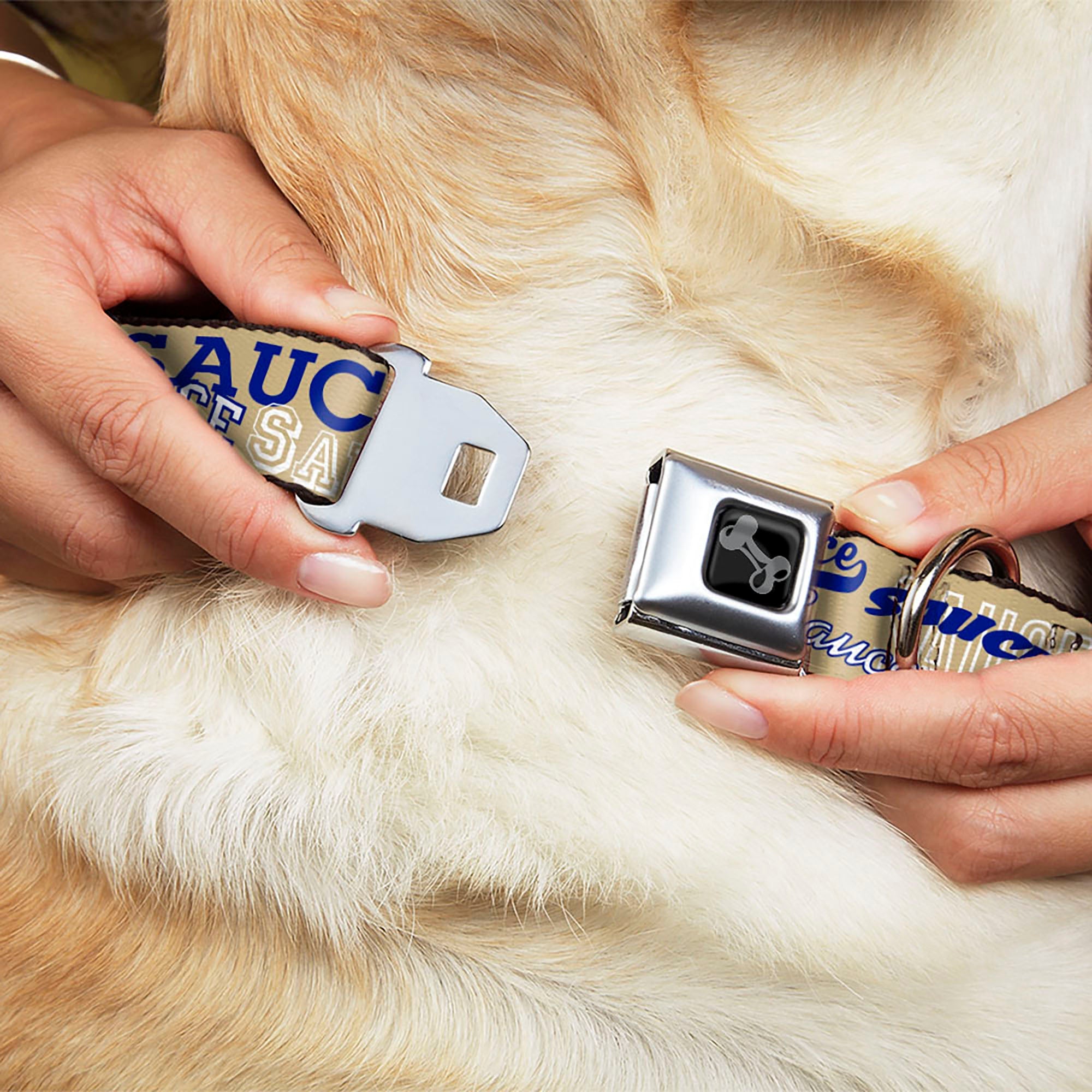 Dog Bone Black/Silver Seatbelt Buckle Collar - SAUCE Typography Collage Tan/White/Blue