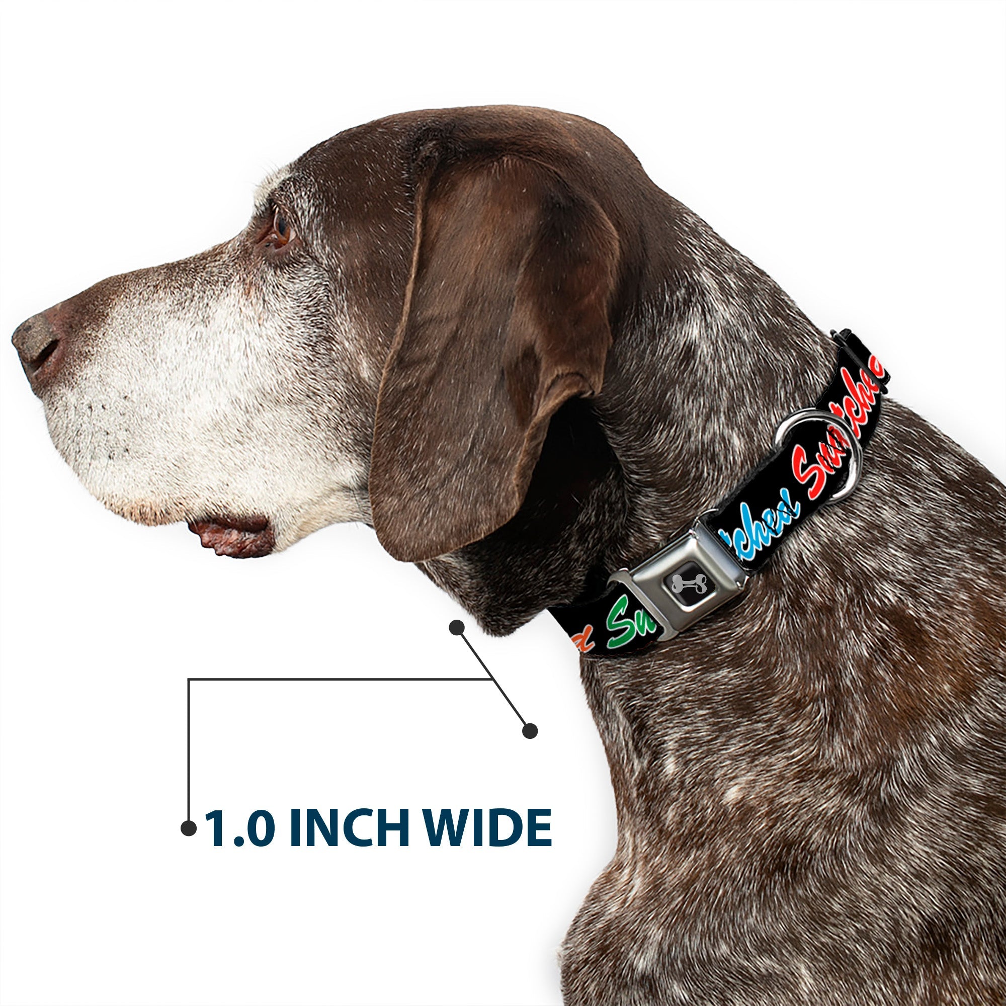 Dog Bone Black/Silver Seatbelt Buckle Collar - SNATCHED Script Black/Multi Color