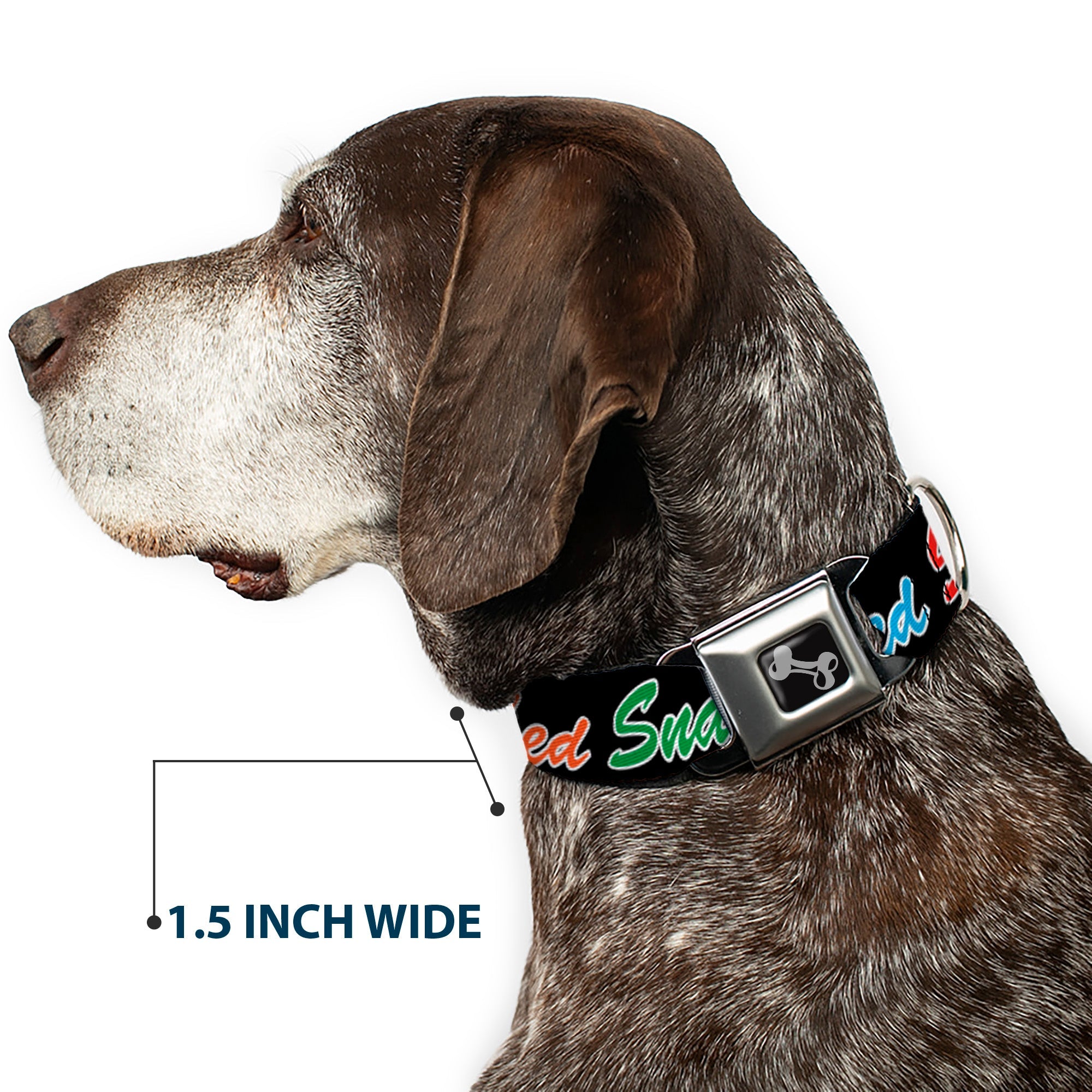 Dog Bone Black/Silver Seatbelt Buckle Collar - SNATCHED Script Black/Multi Color