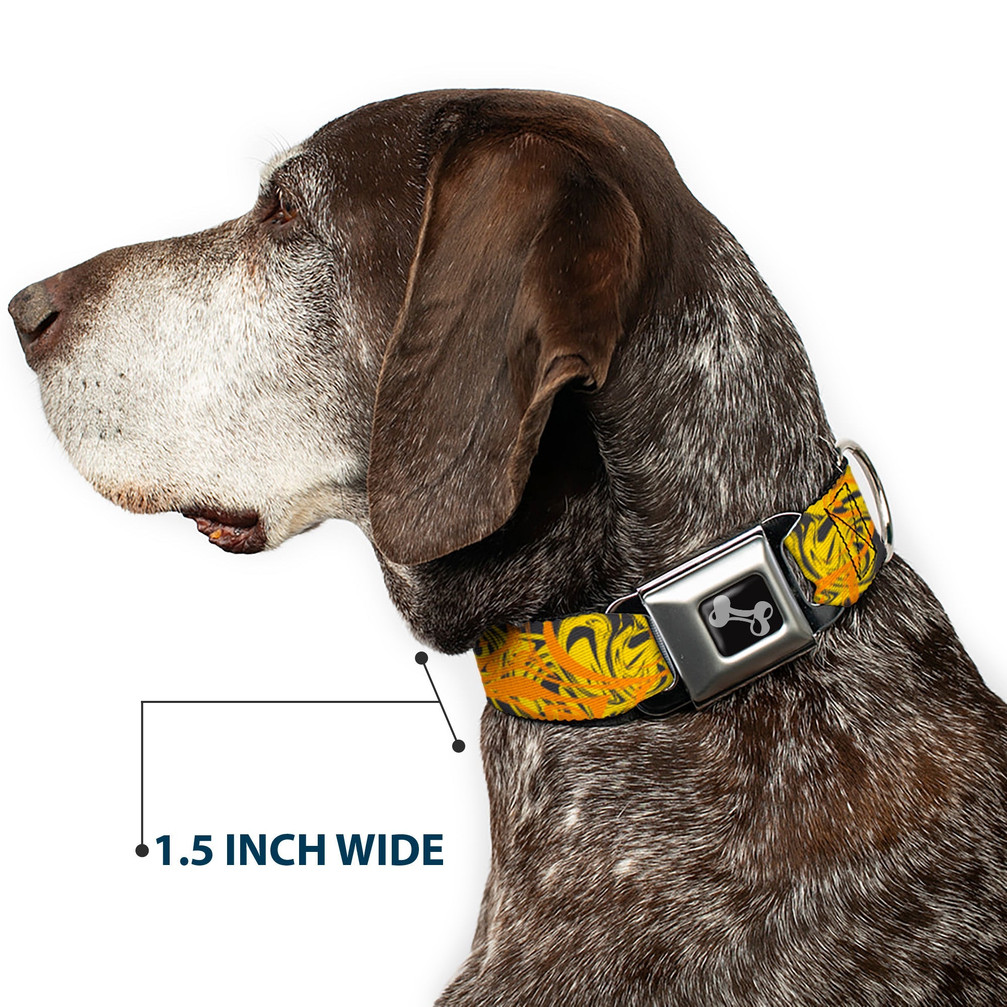 Dog Bone Black/Silver Seatbelt Buckle Collar - Swirl Mix Gray/Multi Color
