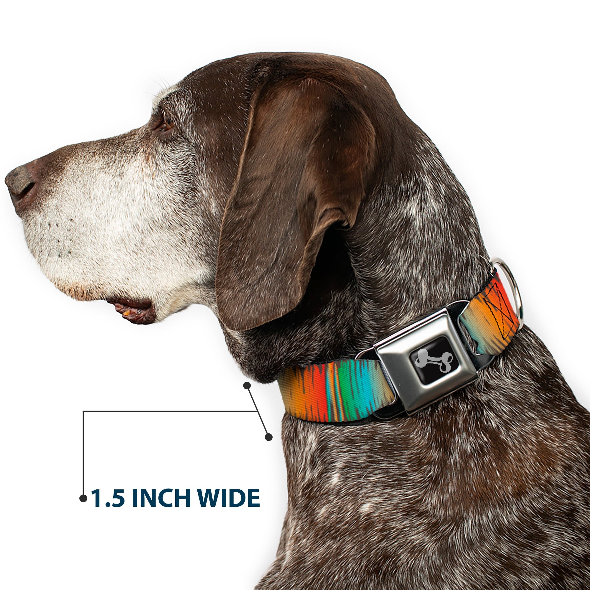 Dog Bone Black/Silver Seatbelt Buckle Collar - Scribble Zarape Fade Brown/Multi Color