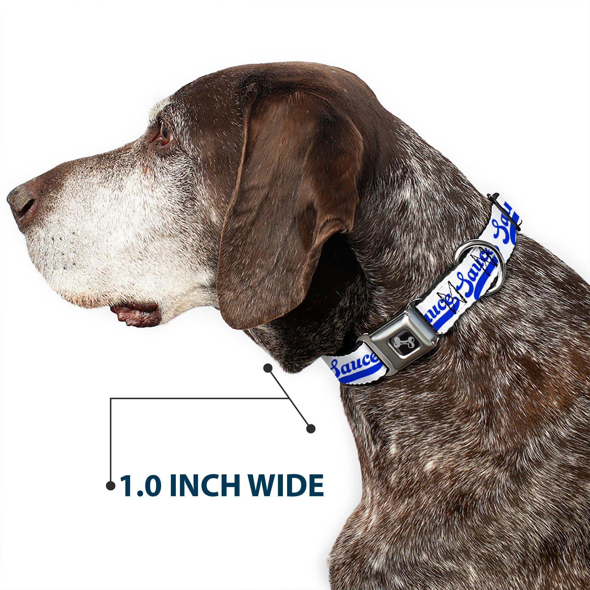 Dog Bone Black/Silver Seatbelt Buckle Collar - SAUCE Baseball Script White/Blue