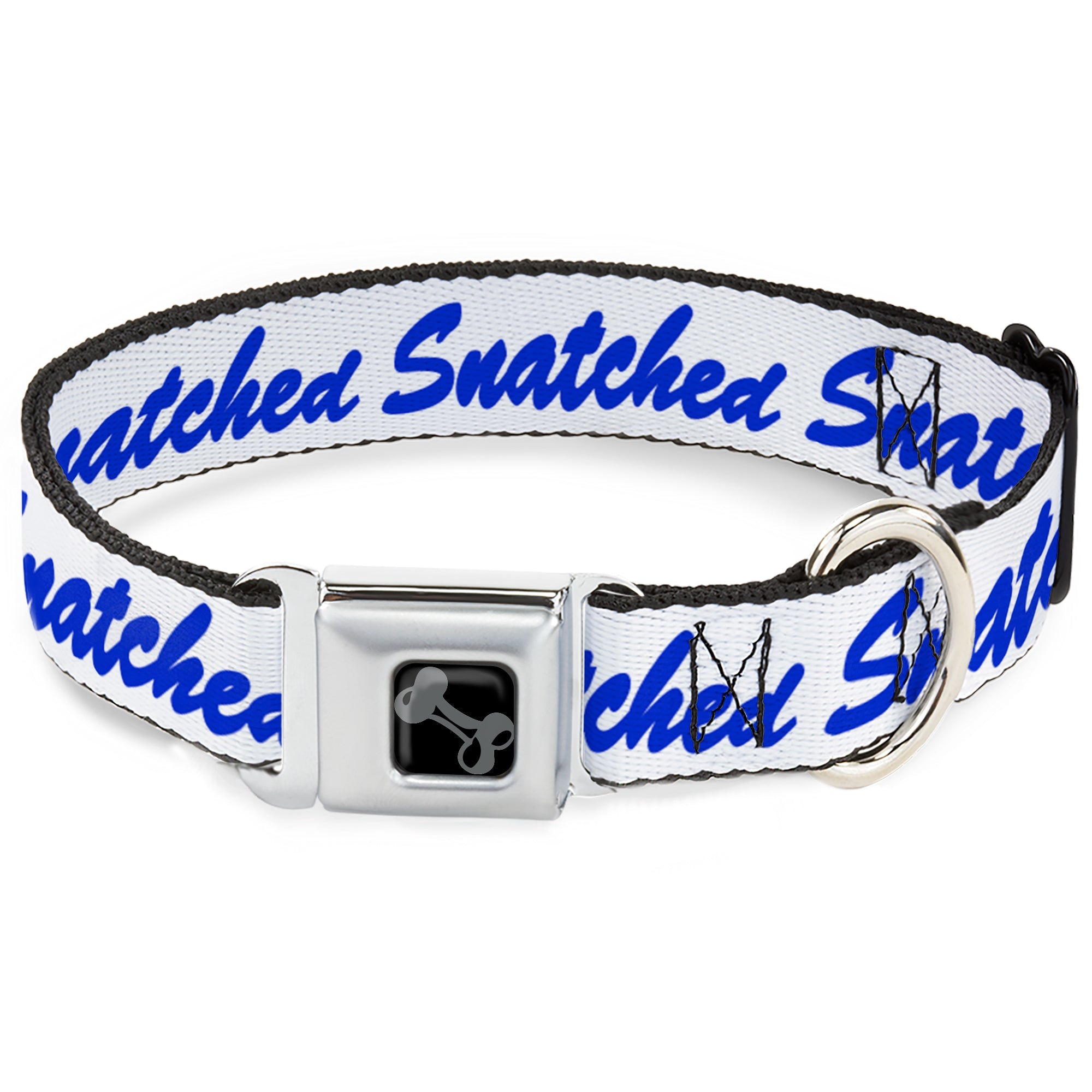 Dog Bone Black/Silver Seatbelt Buckle Collar - SNATCHED Script  White/Blue