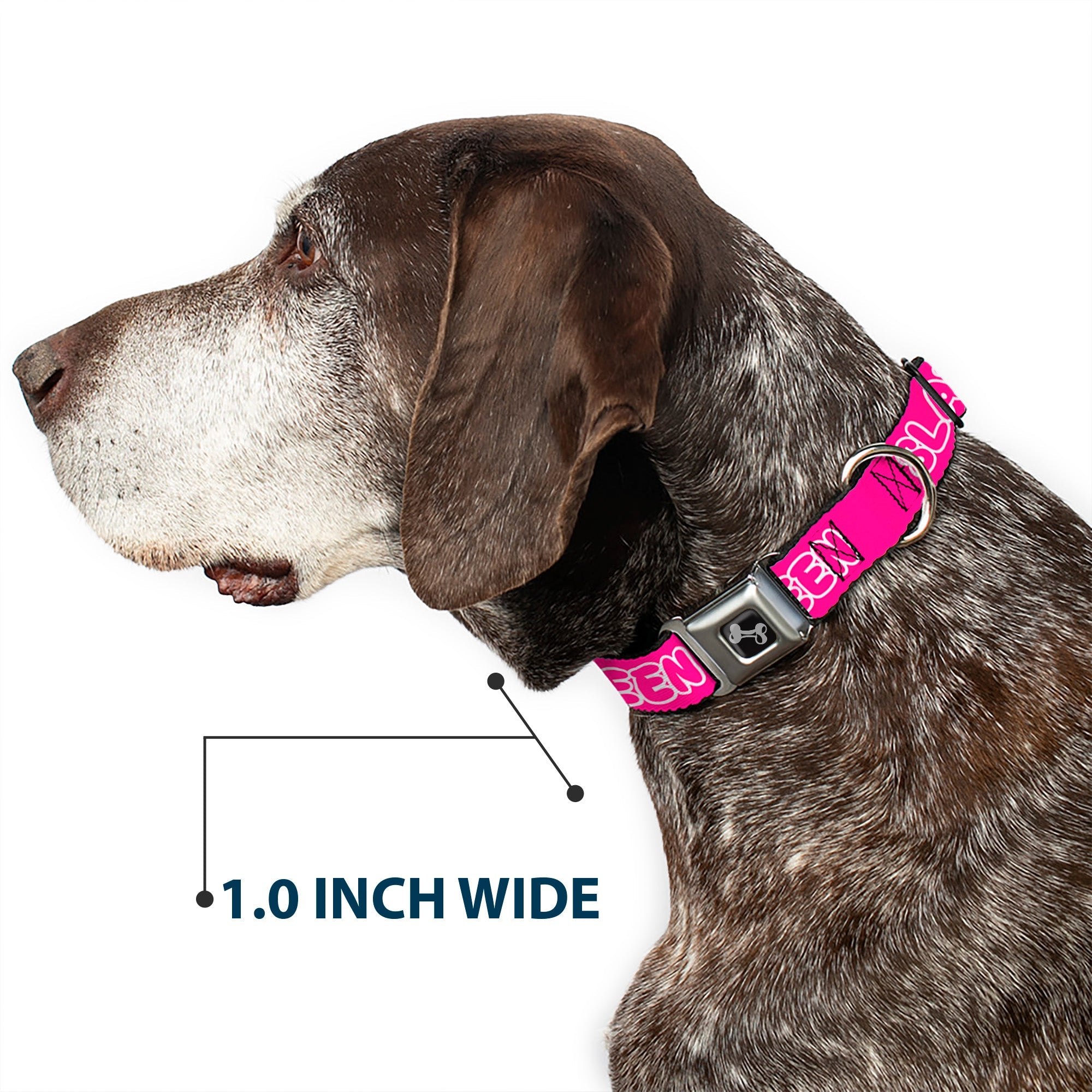 Dog Bone Black/Silver Seatbelt Buckle Collar - SLAY QUEEN Bubble Text Pink/White