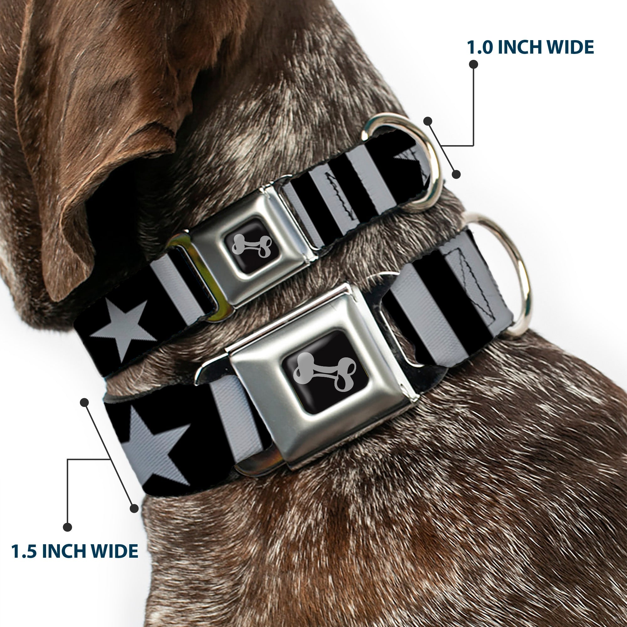 Dog Bone Black/Silver Seatbelt Buckle Collar - Star and Three Stripes Black/Gray