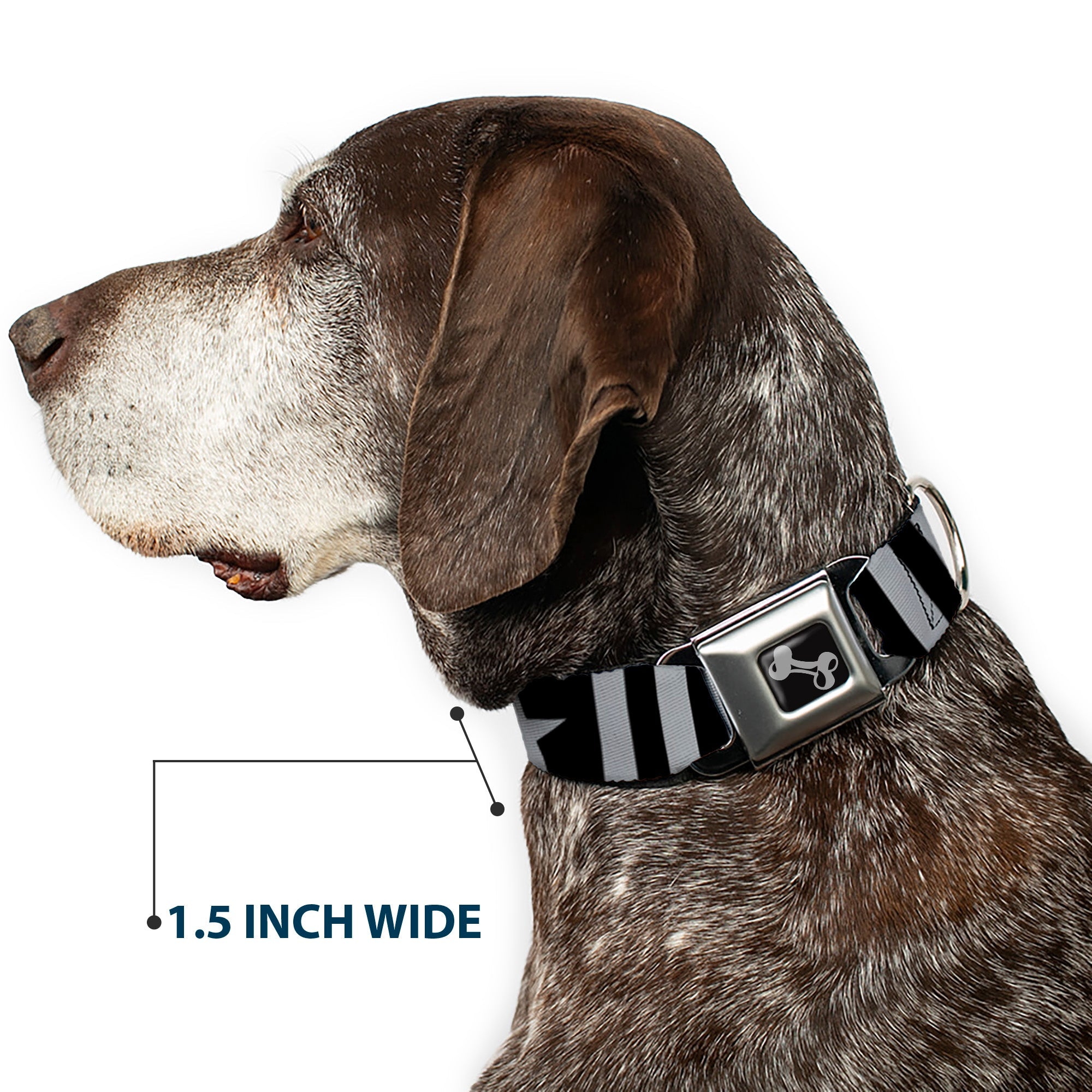 Dog Bone Black/Silver Seatbelt Buckle Collar - Star and Three Stripes Black/Gray