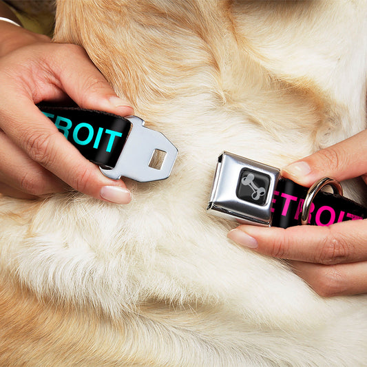 Dog Bone Black/Silver Seatbelt Buckle Collar - DETROIT CITY Text Repeat Black/Turquoise/Yellow/Pink