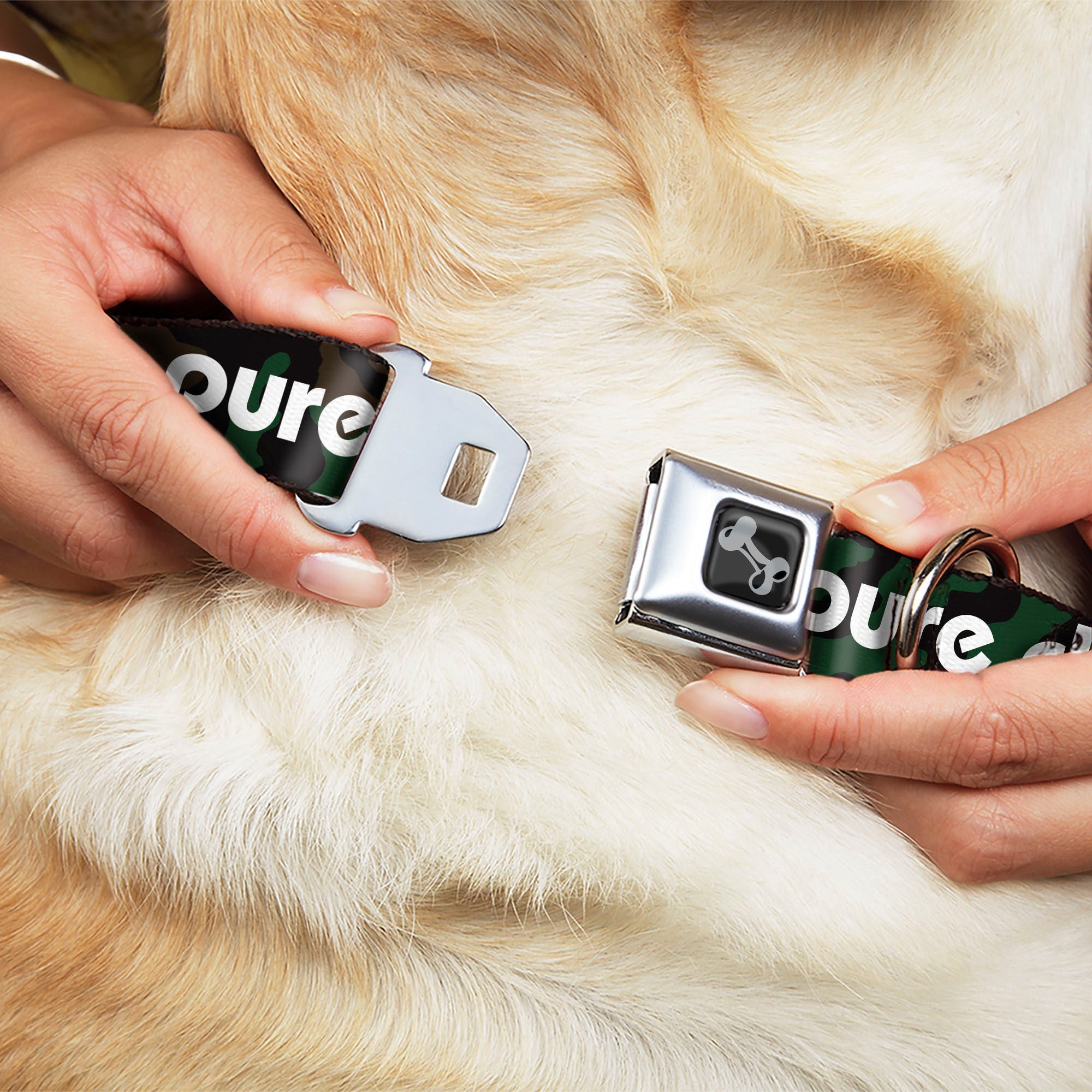 Dog Bone Black/Silver Seatbelt Buckle Collar - PURE DETROIT Text Camo Olive/White