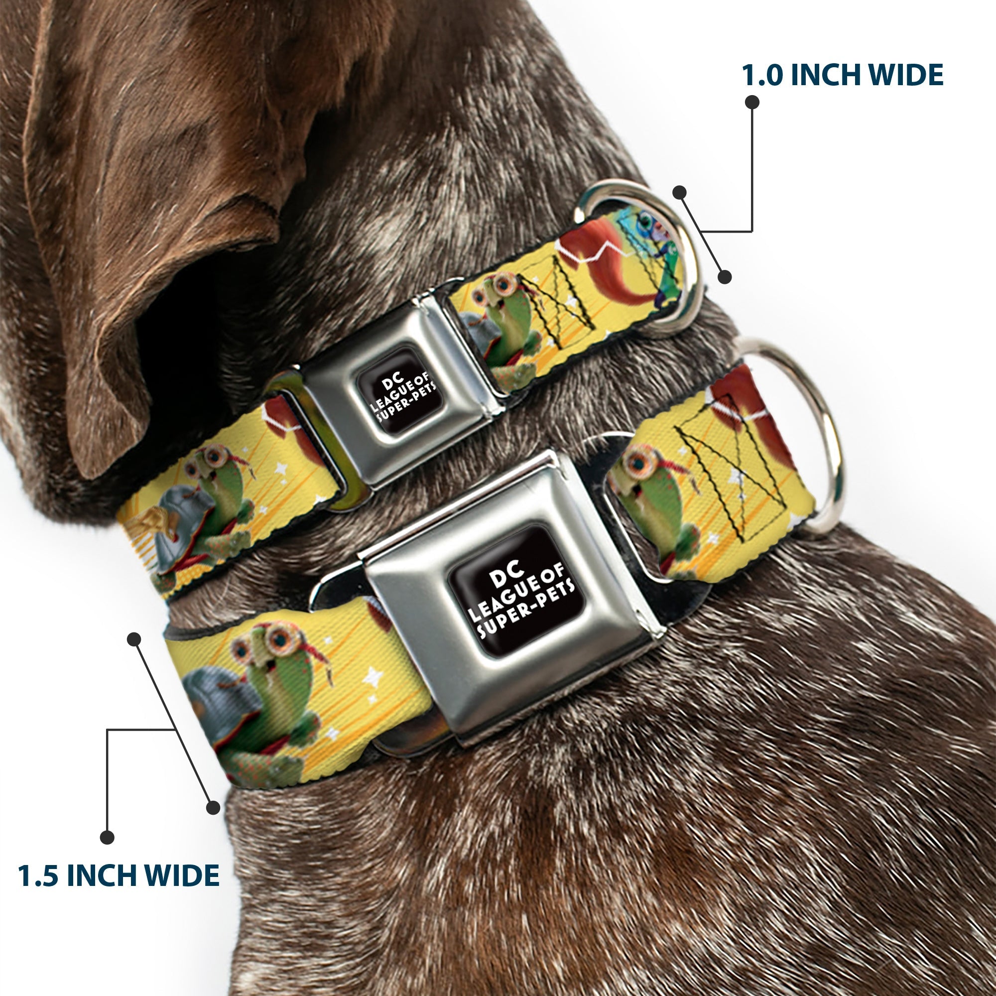 DC LEAGUE OF SUPER-PETS Logo Full Color Black/White Seatbelt Buckle Collar - DC LEAGUE OF SUPER-PETS 6-Superhero Pet Poses Collage Yellows