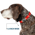 Load image into Gallery viewer, DC LEAGUE OF SUPER-PETS Logo Full Color Black/White Seatbelt Buckle Collar - DC League of Super-Pets Flash Bolt Logo Red/Yellow/White
