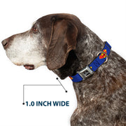DC LEAGUE OF SUPER-PETS Logo Full Color Black/White Seatbelt Buckle Collar - DC League of Super-Pets Superman Shield Logo Blue/Red/Yellow