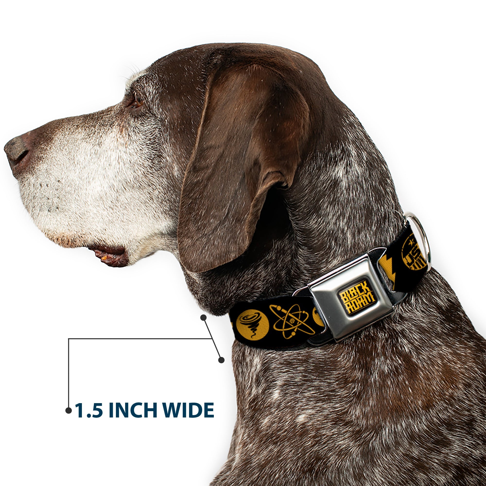 BLACK ADAM Title Logo Full Color Black/Yellows Seatbelt Buckle Collar - Black Adam Justice Society Icons Black/Orange