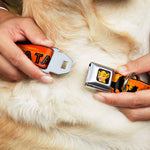 Simba2 CLOSE-UP Full Color Seatbelt Buckle Collar - Lion King HAKUNA MATATA Sunset Oranges/Black