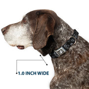 Jack Expression3 Full Color Seatbelt Buckle Collar - NBC Jack Expressions Scattered Weathered