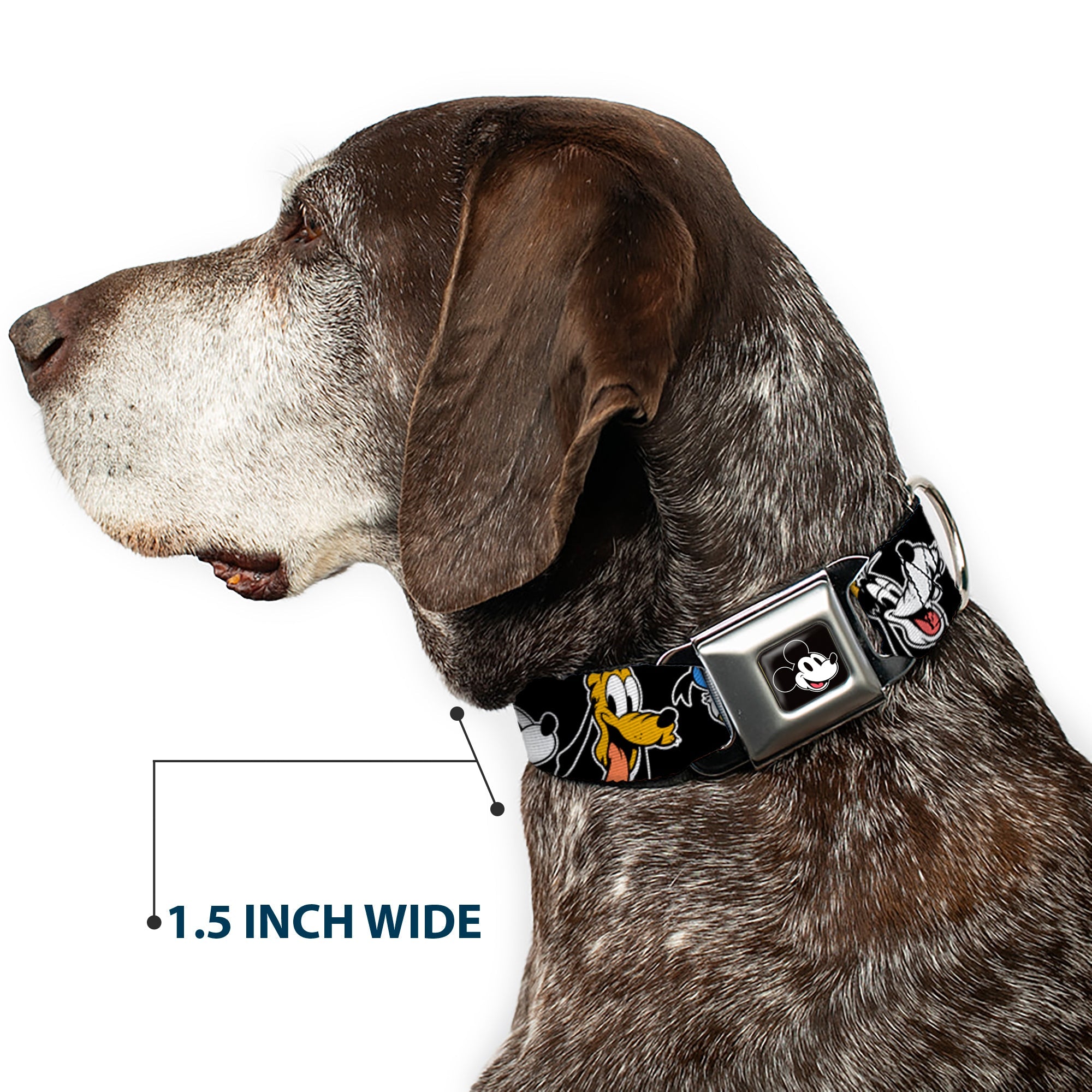 Mickey Mouse Smiling Face Full Color Black Seatbelt Buckle Collar - Disney The Sensational Six Smiling Faces Black