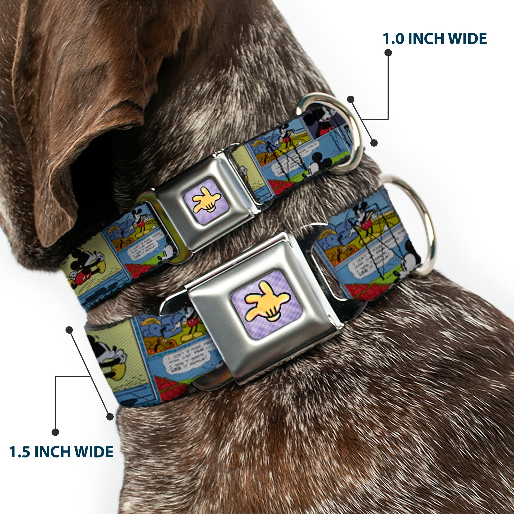 Mickey's Glove Purple Rays Full Color Seatbelt Buckle Collar - Mickey & Minnie Comic Strip