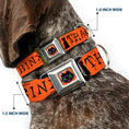 Load image into Gallery viewer, Hocus Pocus Thackery Binx Cat Face Full Color Orange Seatbelt Buckle Collar - Hocus Pocus THACKERY BINX Cat Silhouette Orange/Black
