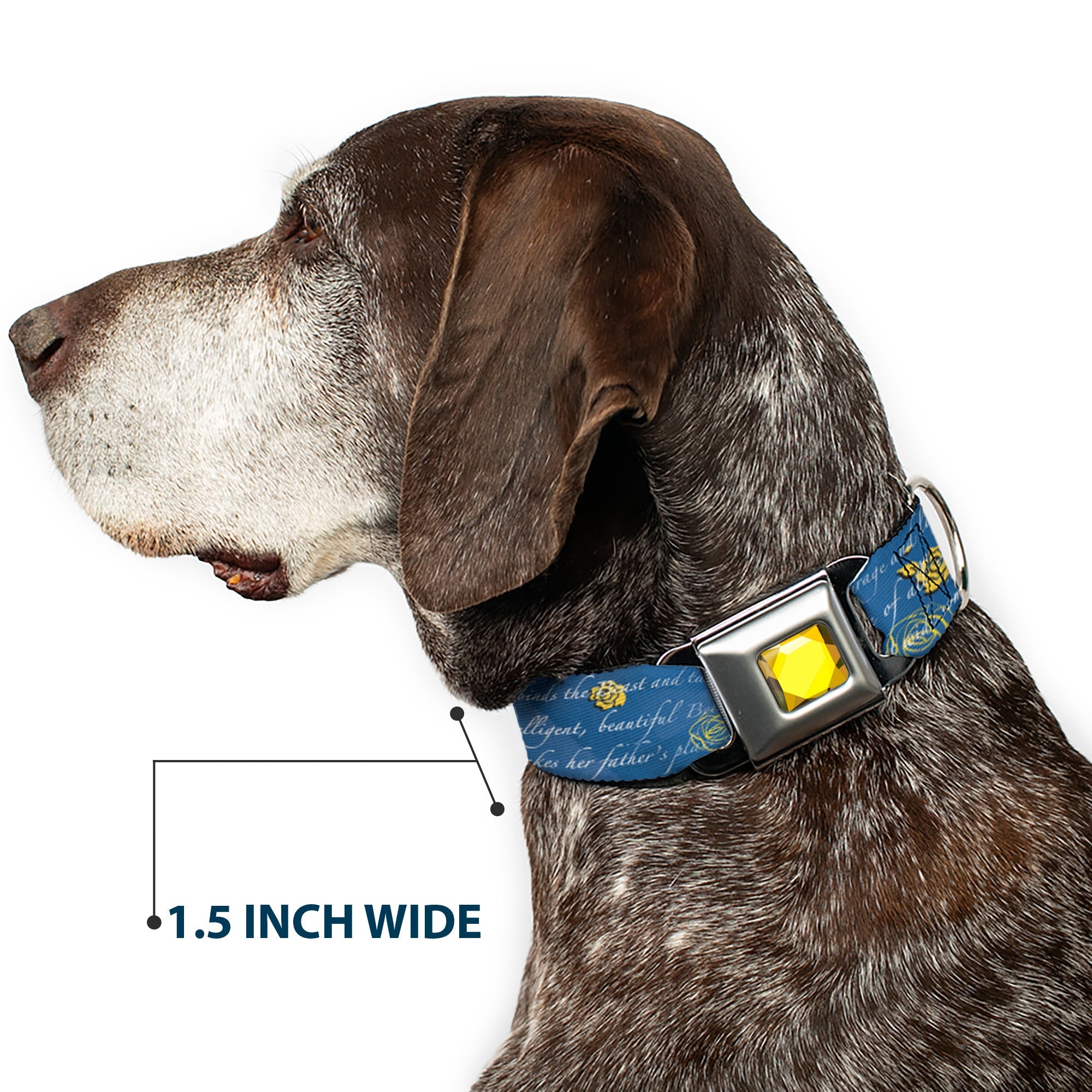 Princess Gem CLOSE-UP Full Color Yellow Seatbelt Buckle Collar - Beauty & the Beast Story Script