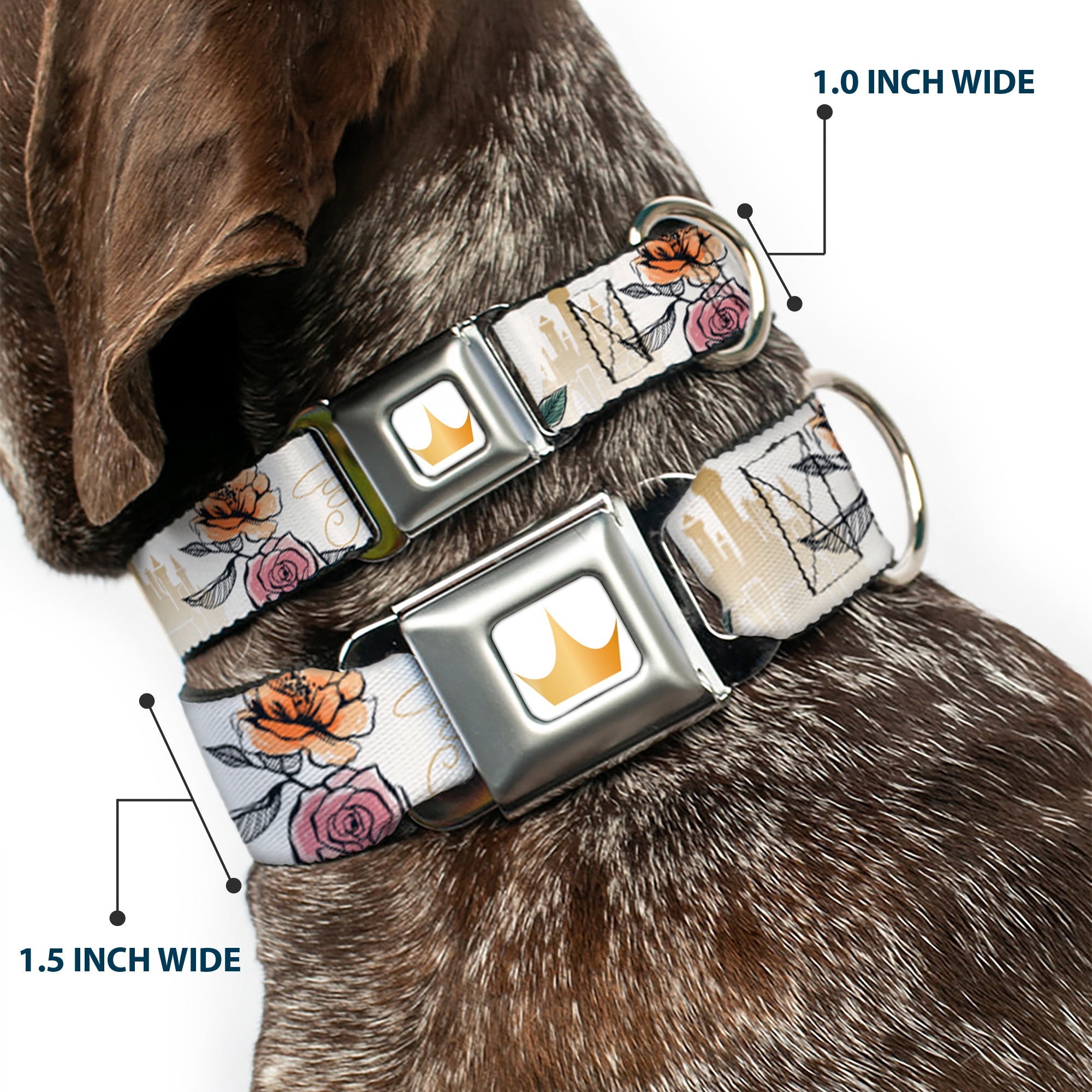 Disney Princess Crown Full Color Golds Seatbelt Buckle Collar - Beauty and the Beast Belle Castle Pose with Script and Flowers White/Yellows