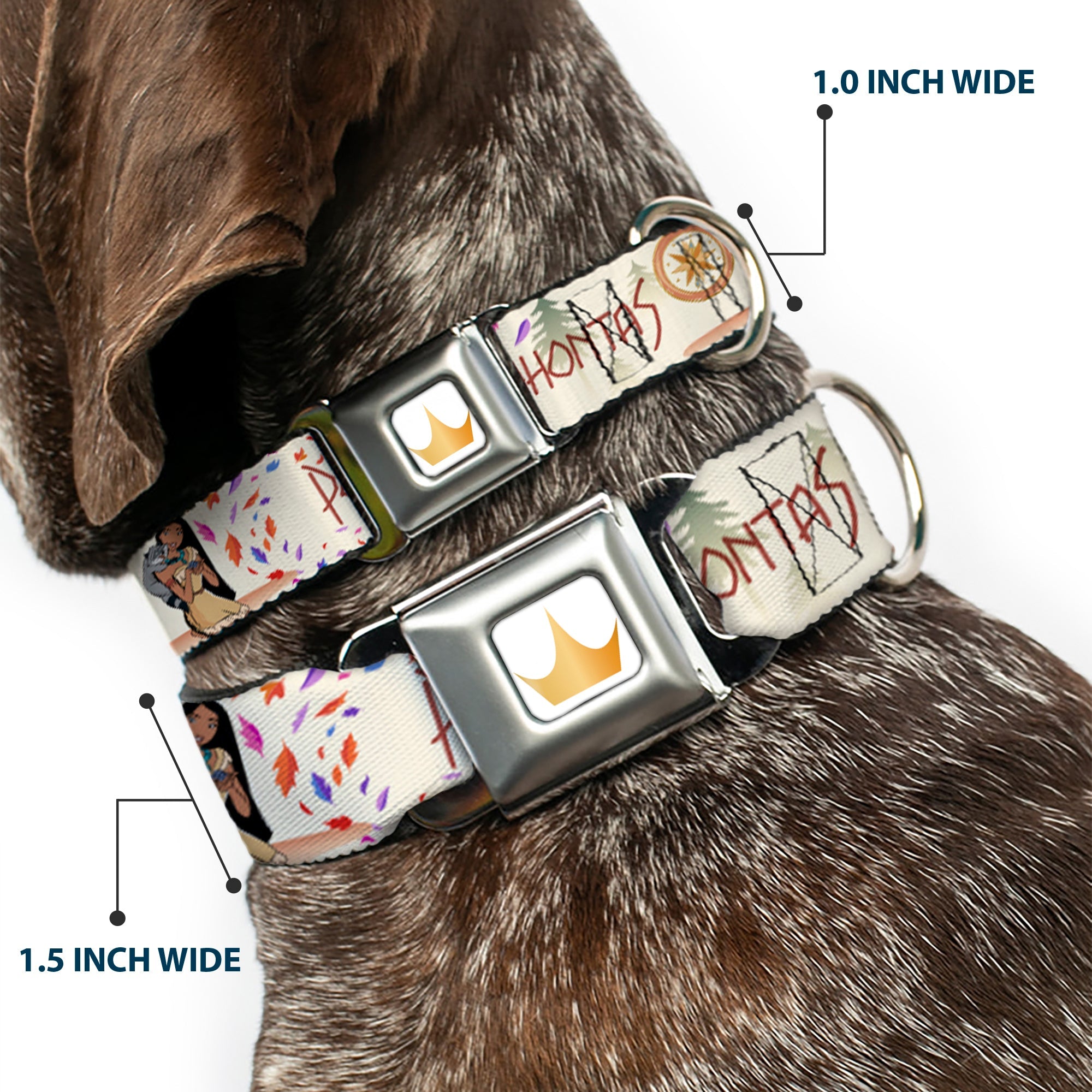 Disney Princess Crown Full Color Golds Seatbelt Buckle Collar - Pocahontas and Meeko Compass Pose with Script and Leaves Beige