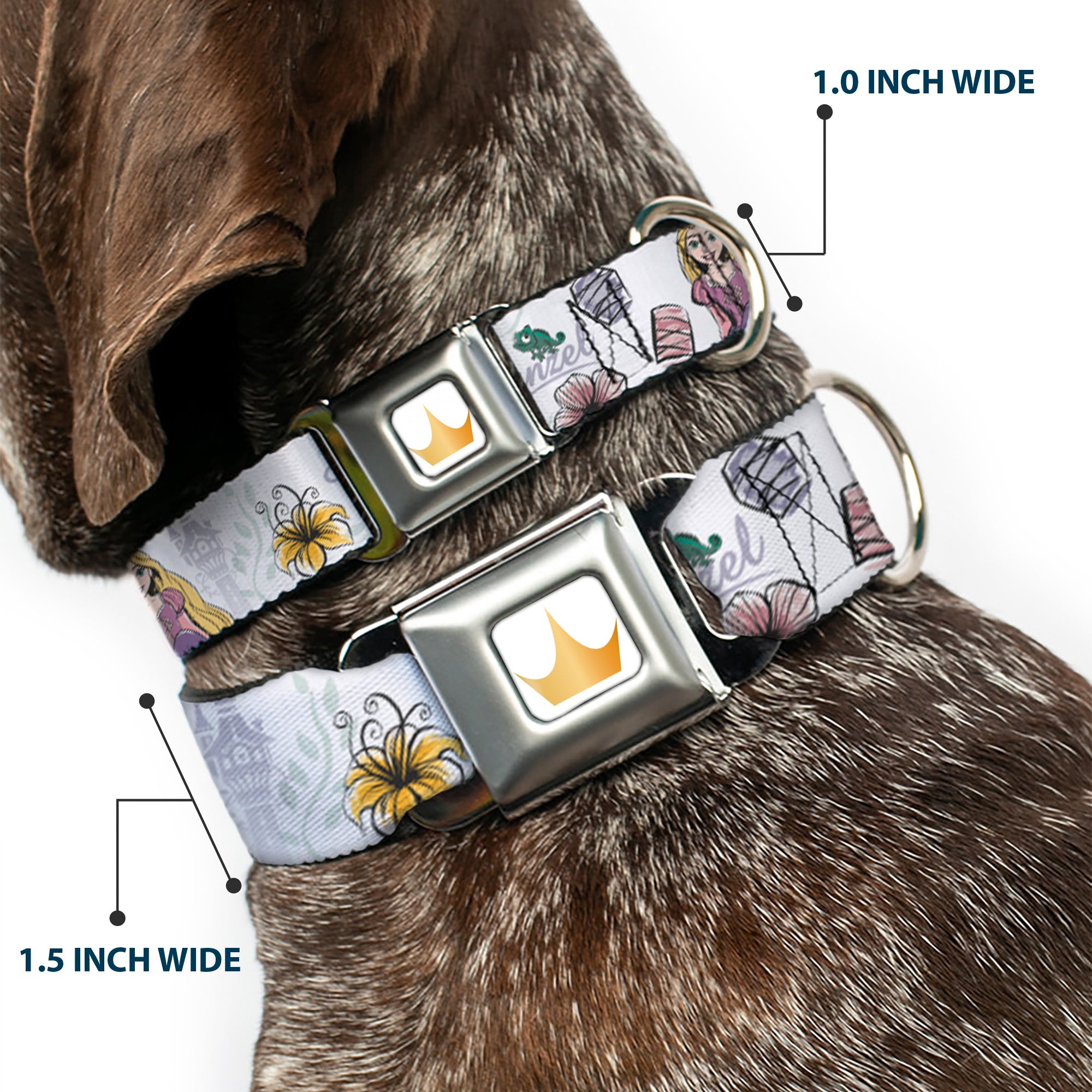 Disney Princess Crown Full Color Golds Seatbelt Buckle Collar - Rapunzel Castle and Pascual Pose with Script and Flowers White/Purples
