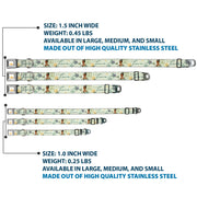 Disney Princess Crown Full Color Golds Seatbelt Buckle Collar - The Princess and the Frog Tiana Palace Pose with Script and Flowers Greens