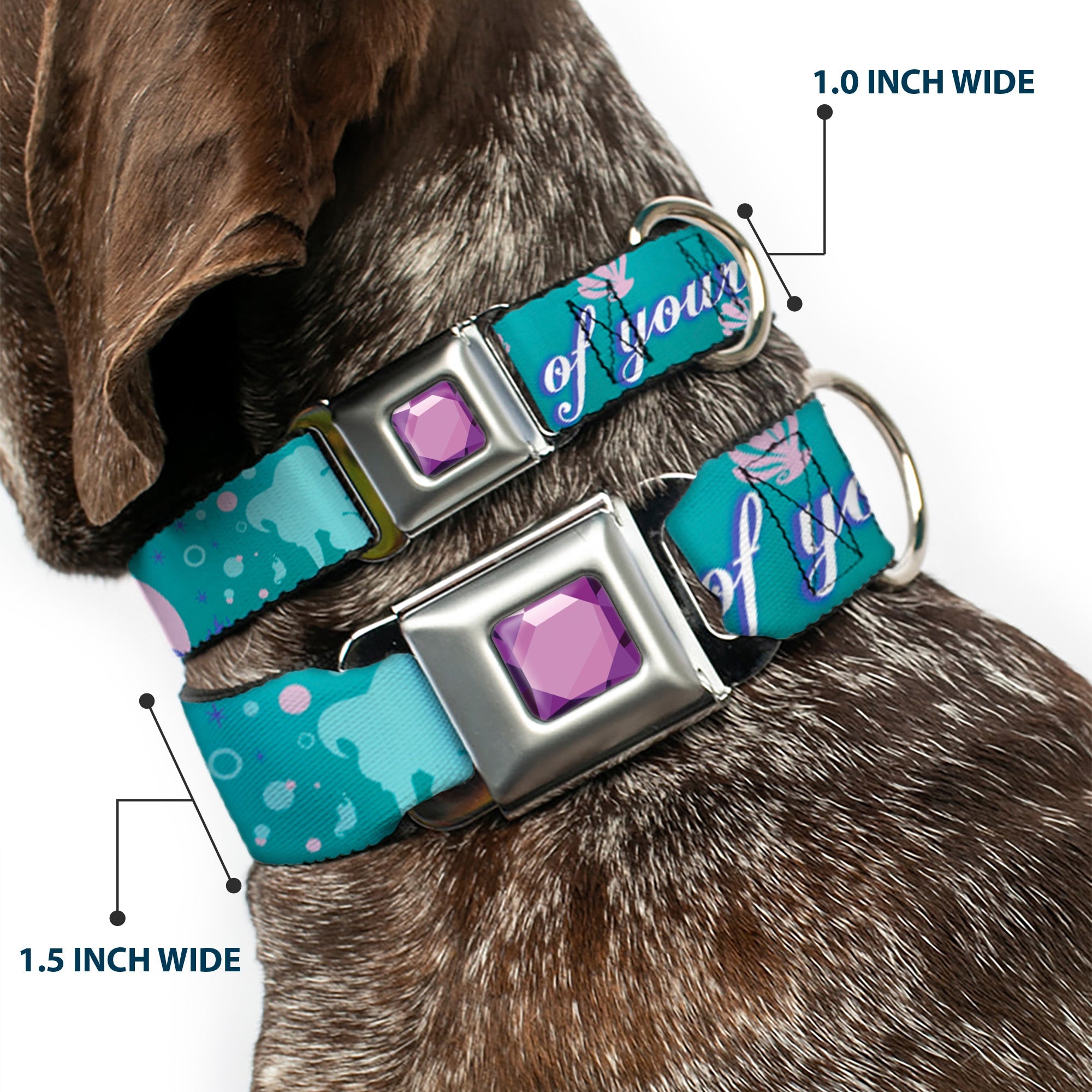 Princess Gem CLOSE-UP Full Color Purple Seatbelt Buckle Collar - Little Mermaid Silhouette Scenes PART OF YOUR WORLD Blues