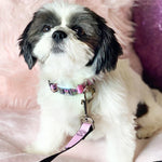 Minnie Mouse Full Color Face Pink Polka Dot Black Seatbelt Buckle Collar - Minnie Mouse Expressions Polka Dot Pink/White