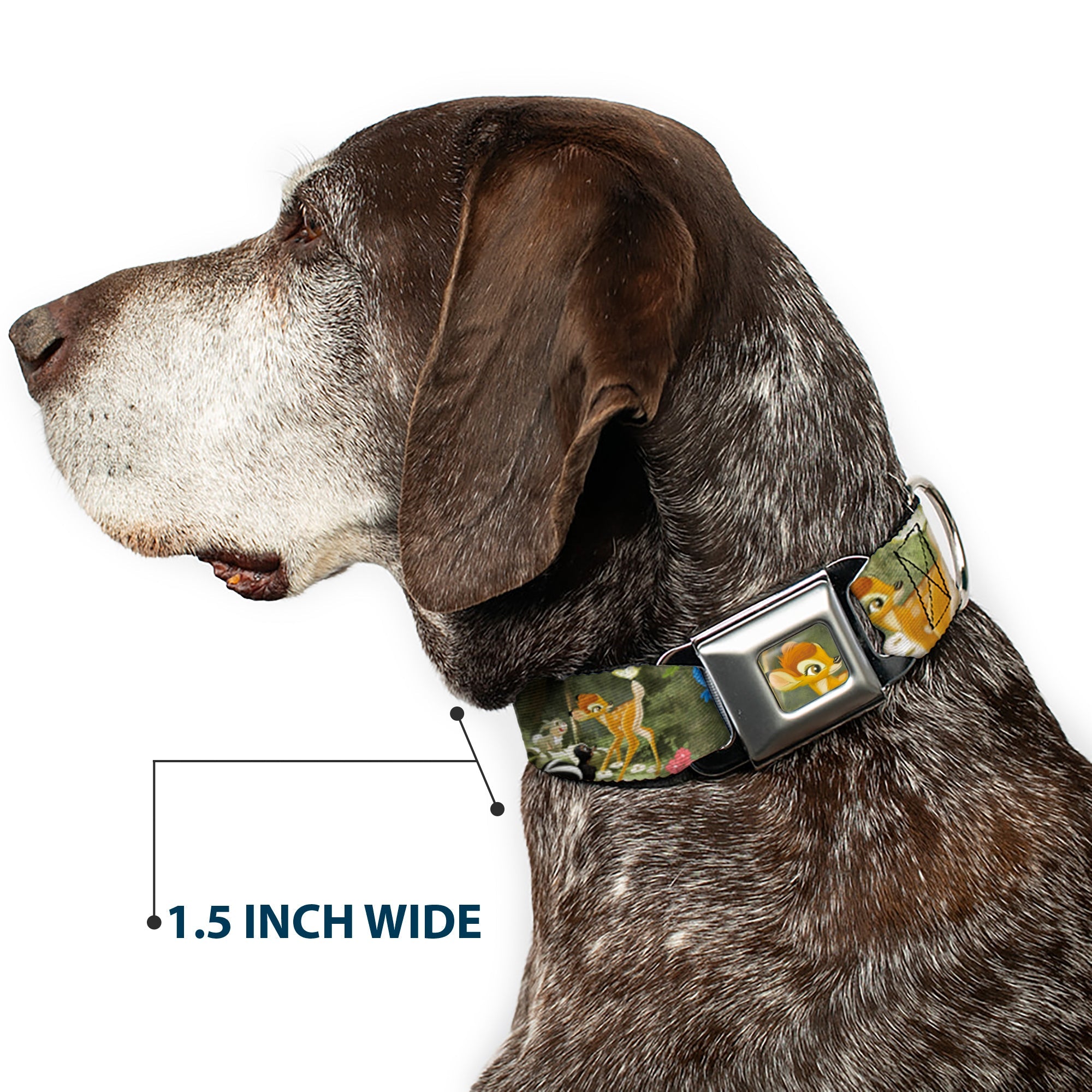 Bambi Face CLOSE-UP Full Color Gray Seatbelt Buckle Collar - Bambi & Friends Scene