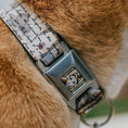 Load image into Gallery viewer, Belle Face Sketch Full Color Light Yellow Seatbelt Buckle Collar - Belle Sketch Poses/Story Script
