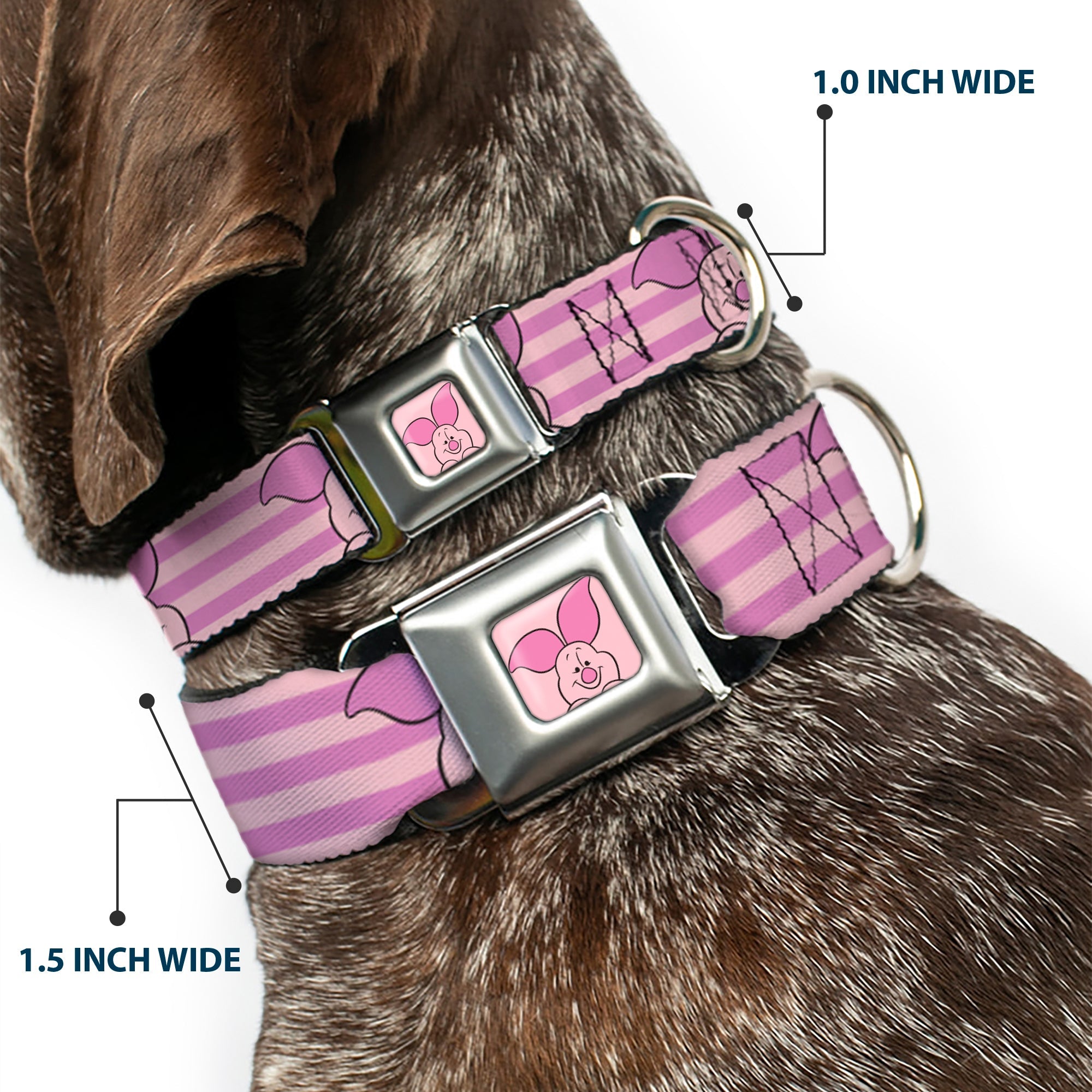 Winnie the Pooh Piglet Expression Close-Up Pink Seatbelt Buckle Collar - Winnie the Pooh Piglet Expression Close-Up Stripe Pinks