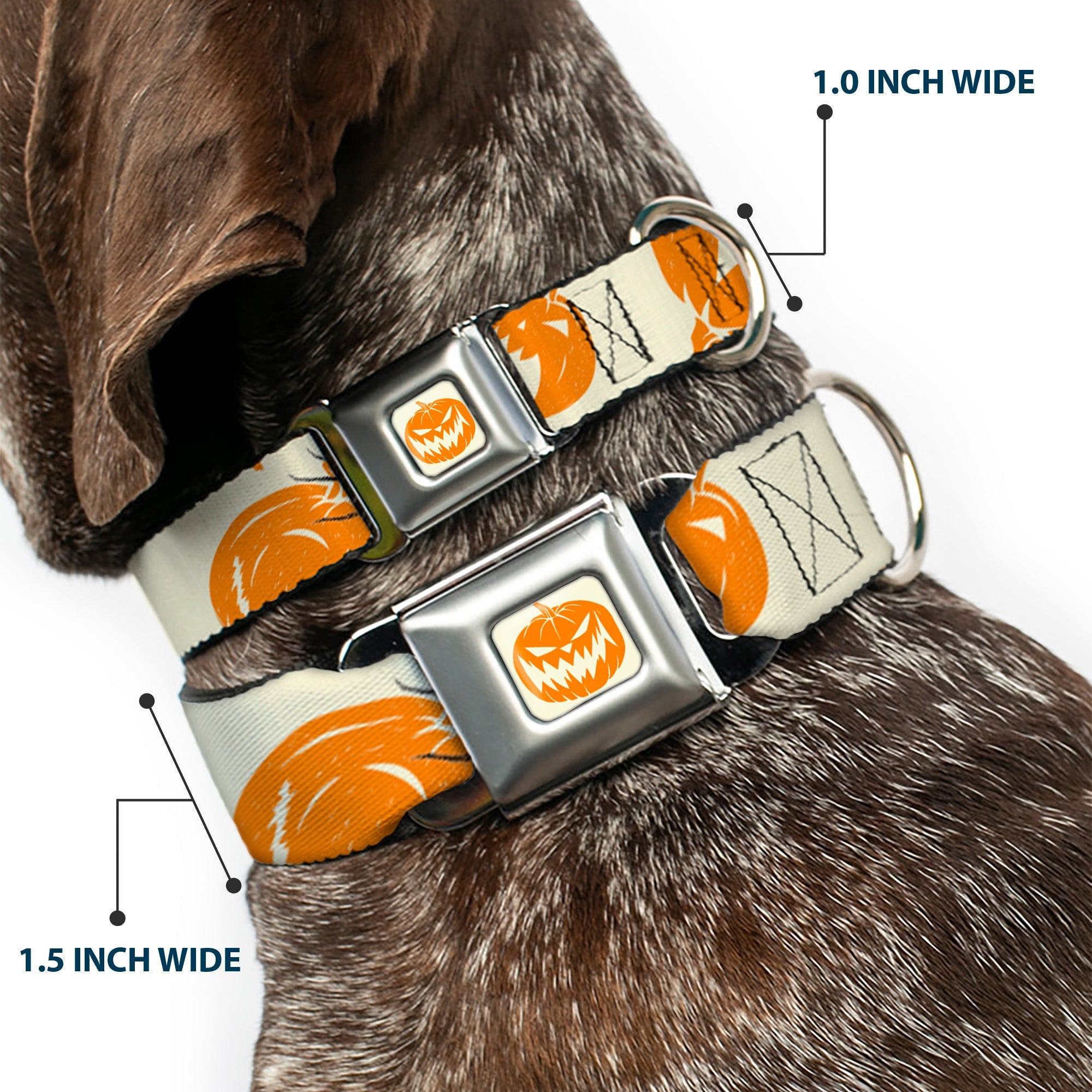 The Nightmare Before Christmas Pumpkin Ivory/Orange Seatbelt Buckle Collar - The Nightmare Before Christmas Jack Pose and Pumpkins Collage Ivory/Orange/Black