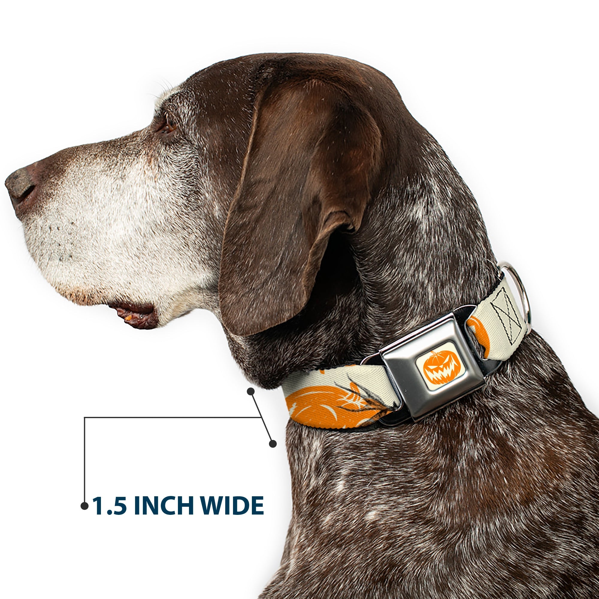 The Nightmare Before Christmas Pumpkin Ivory/Orange Seatbelt Buckle Collar - The Nightmare Before Christmas Jack Pose and Pumpkins Collage Ivory/Orange/Black