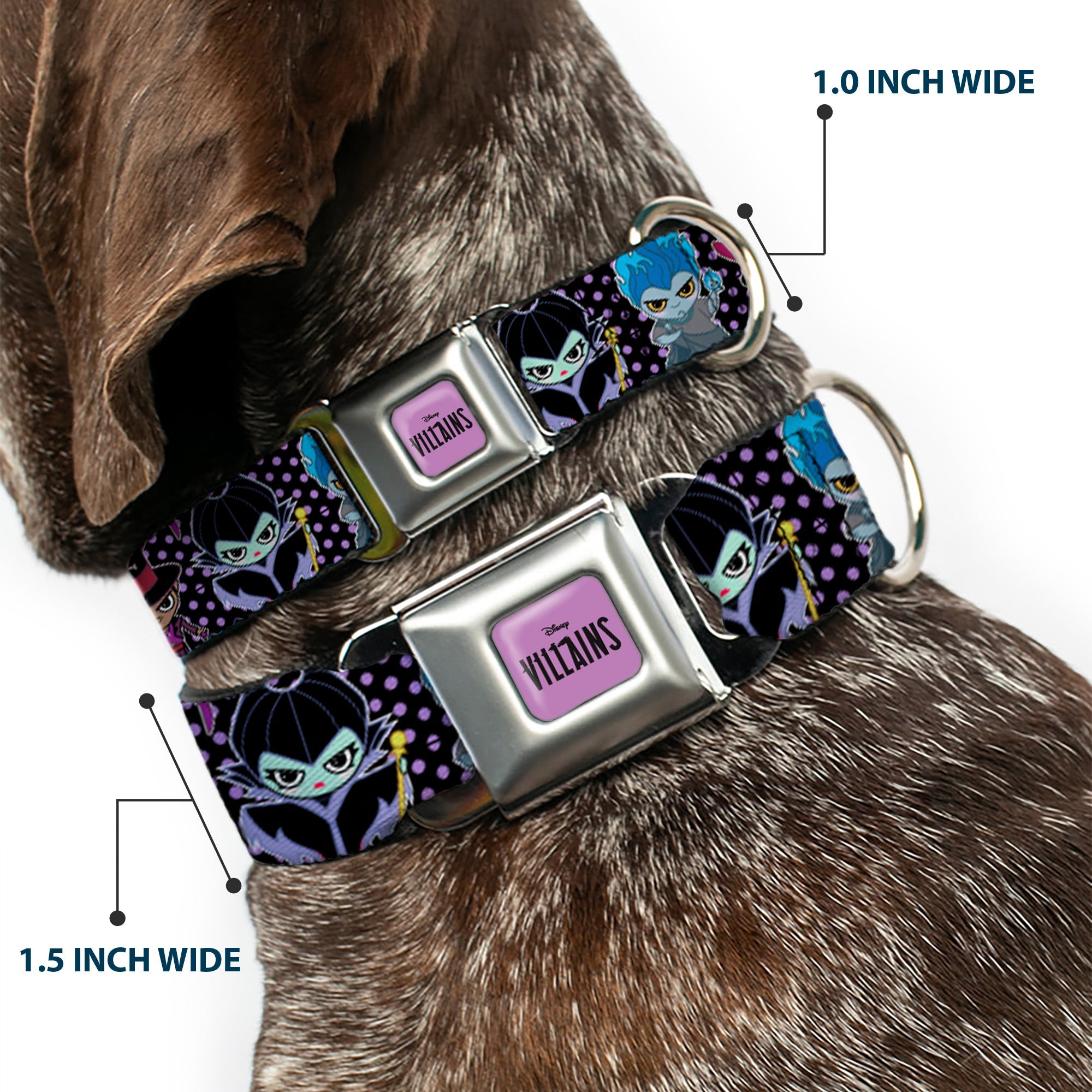 DISNEY VILLAINS Text Full Color Lavender/Black Seatbelt Buckle Collar - Disney 11-Sweet Chibi Villain Poses Polka Dot Black/Lavender