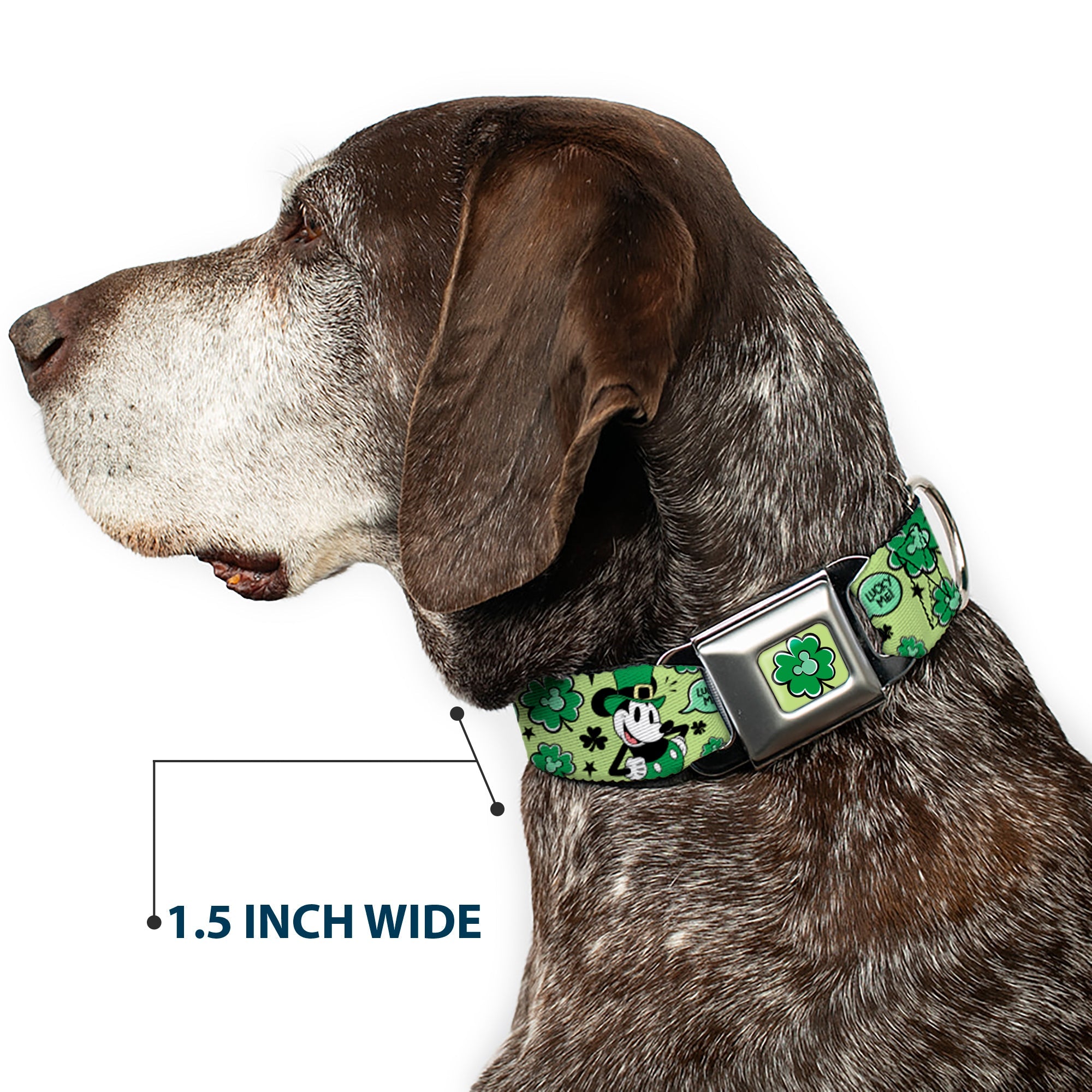 Mickey Mouse St. Patrick's Day Shamrock Full Color Greens Seatbelt Buckle Collar - Mickey Mouse St. Patrick's Day LUCKY ME Leprechaun Pose and Shamrocks Greens