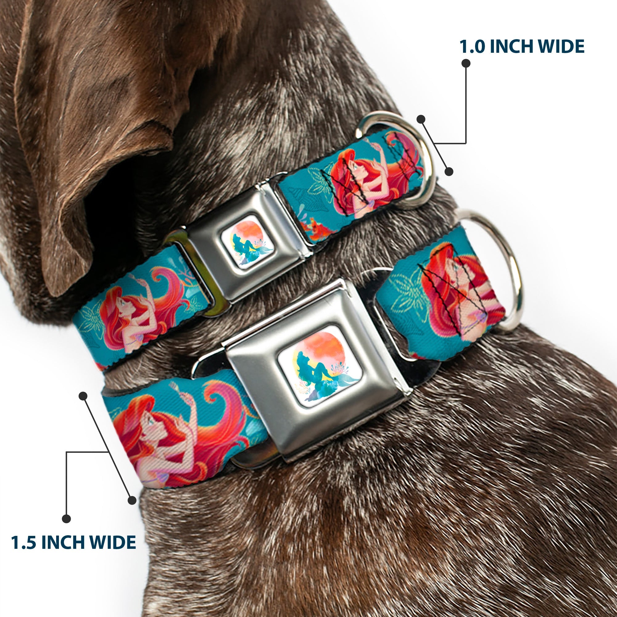 The Little Mermaid Ariel Silhouette Pose Full Color White/Multi Color Seatbelt Buckle Collar - The Little Mermaid Flounder and Sebastian Under the Sea Greens