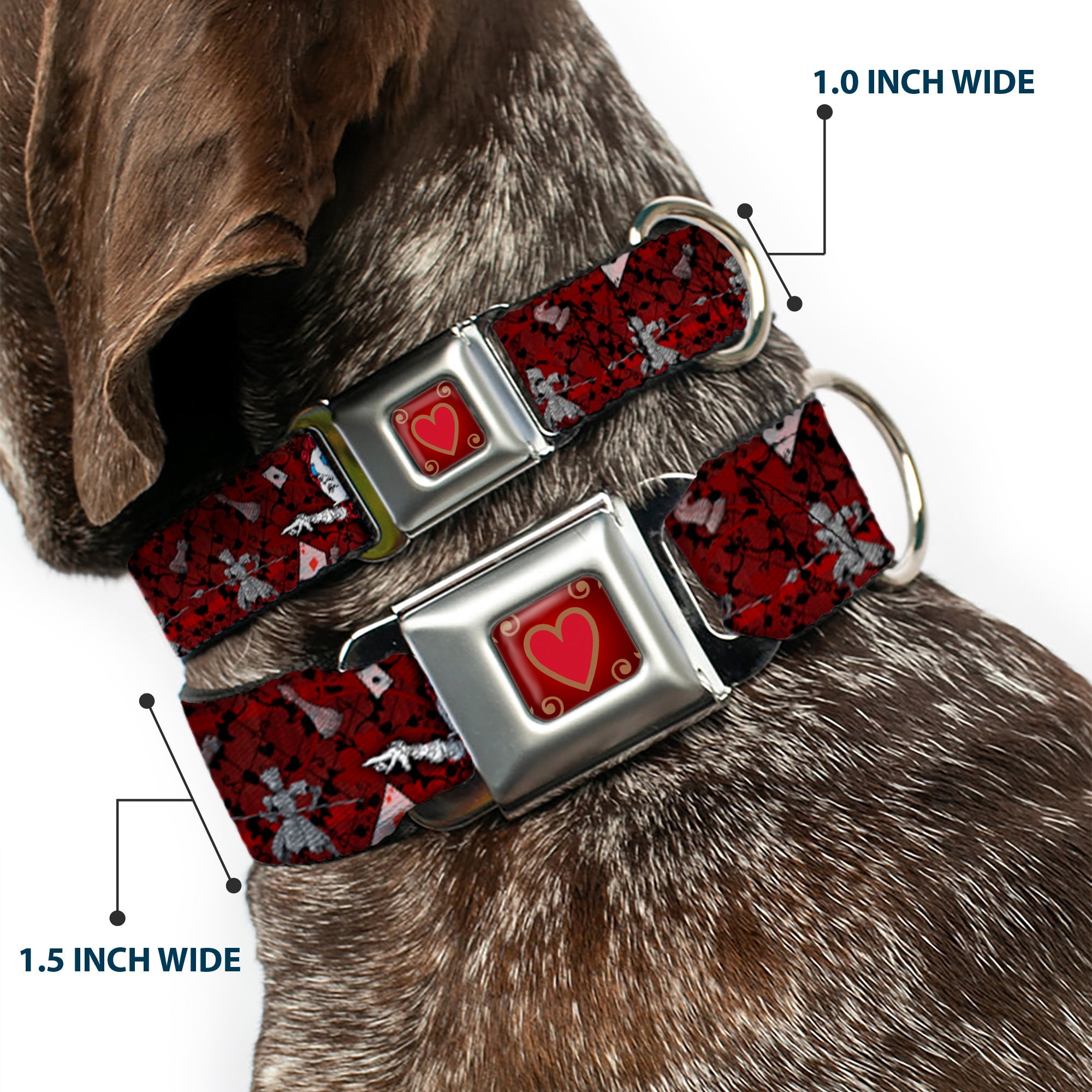 Queen's Heart Full Color Reds Gold Seatbelt Buckle Collar - Queen of Hearts Poses/Hearts/Cards Reds/Black