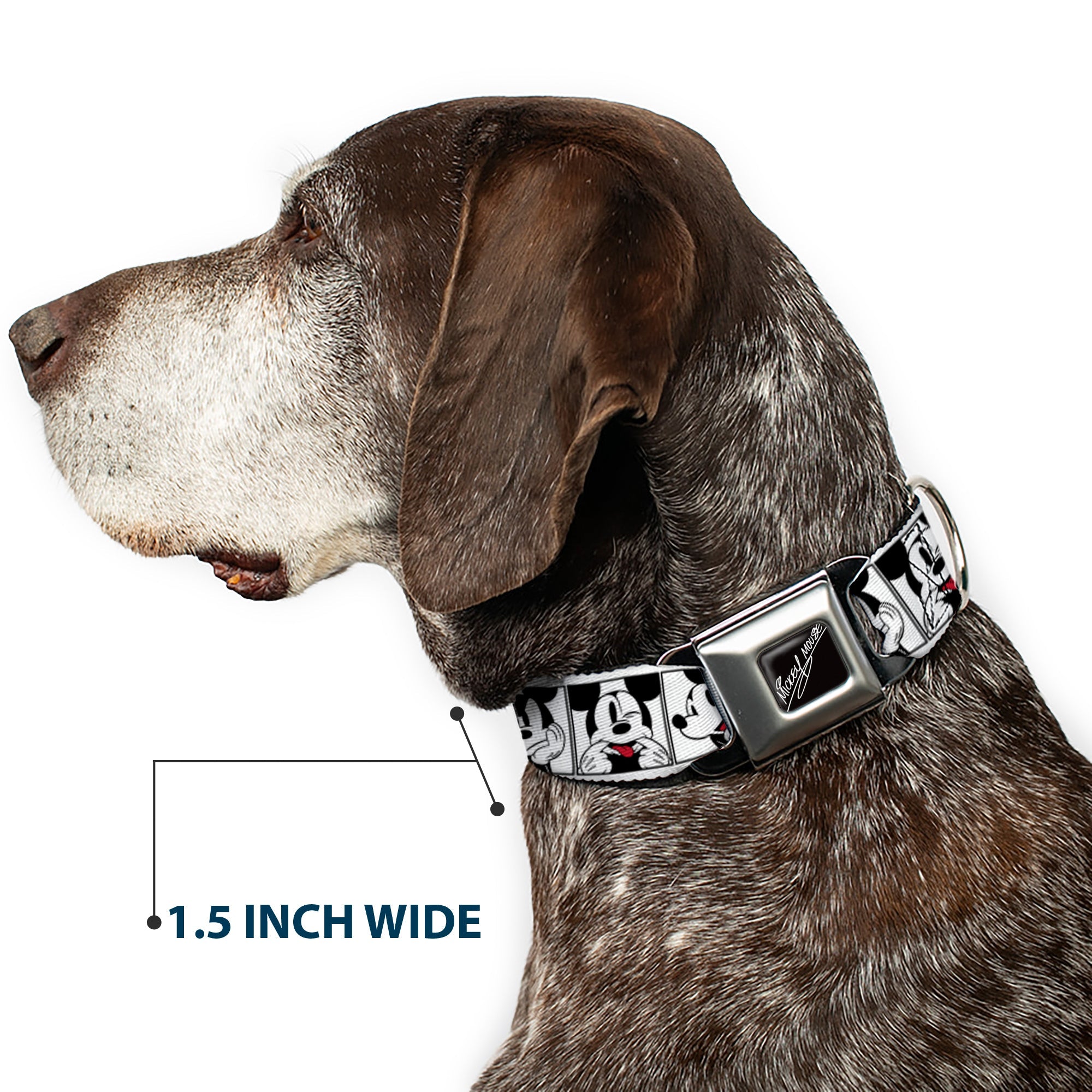 MICKEY MOUSE Autograph Full Color Black/White Seatbelt Buckle Collar - Mickey Mouse Expression Blocks White/Black/Red