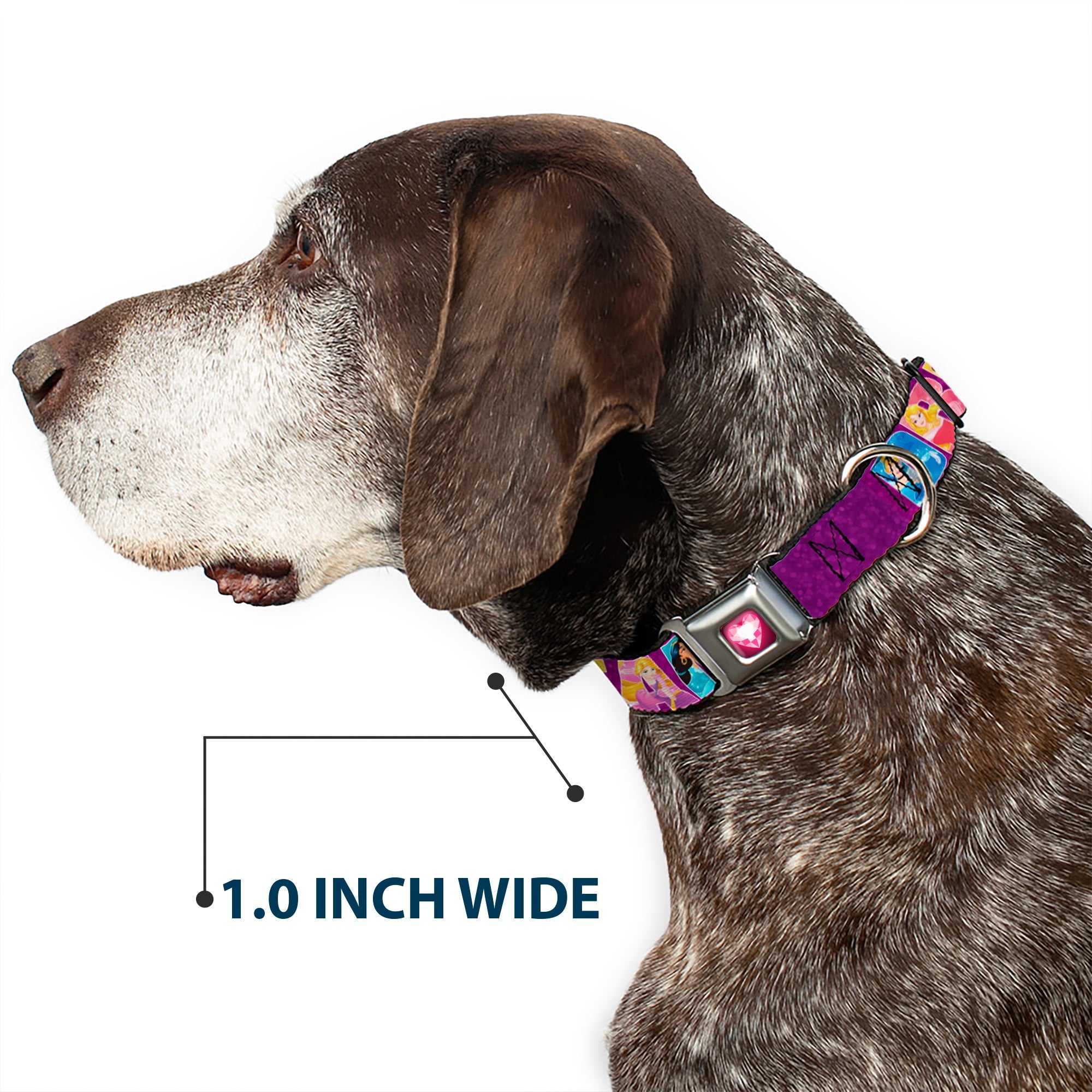 Princess Gem Heart Full Color Black/Pink Seatbelt Buckle Collar - Disney DREAMER 7-Sparkling Princesses/Tiara Purple/White