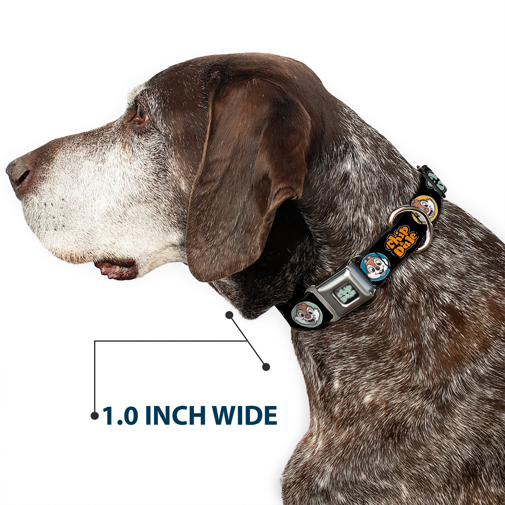 CHIP & DALE Text Logo Full Color Black/Gray Seatbelt Buckle Collar - CHIP & DALE Expression Bubbles Black/Multi Color