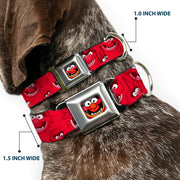 Muppets Animal Face Seatbelt Buckle Dog Collar