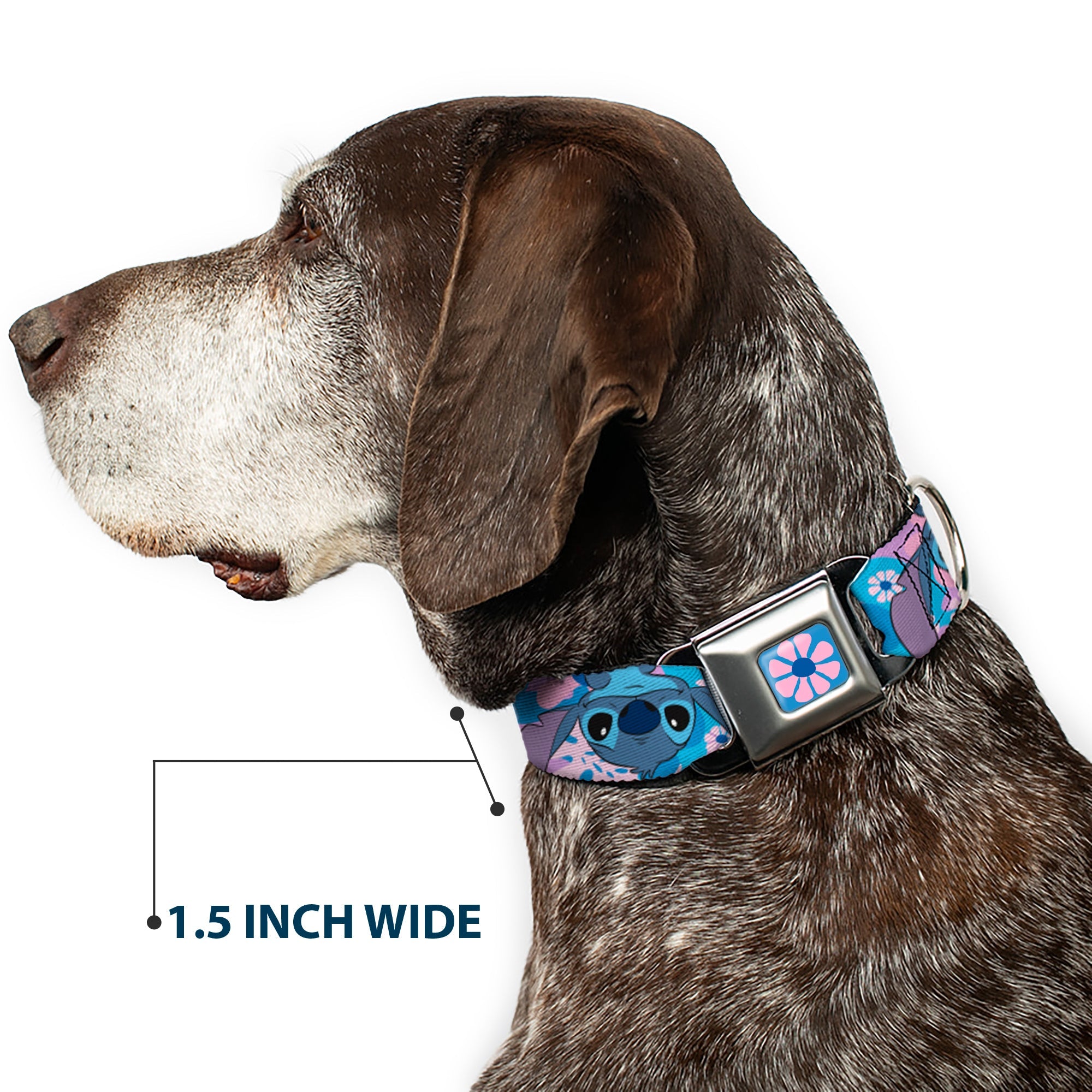 Lilo & Stitch Flower Full Color Blues/Pink Seatbelt Buckle Collar - Lilo & Stitch Stitch Flip Expressions Close-Up Blues/Pinks